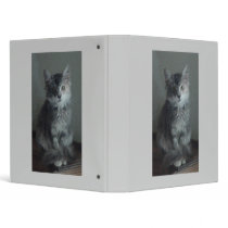 Nani 1 3 ring binder
