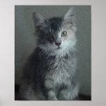 Nani 1 print