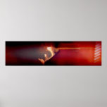 Nano posters