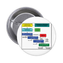 Nanopore Detector Markov Model Software Scheme Pins