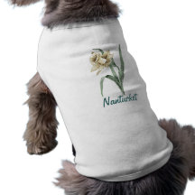 Nantucket Daffodil Parade Dog Clothing