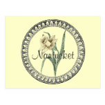 Nantucket Daffodil Parade Postcards