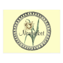 Nantucket Daffodil Parade Postcards