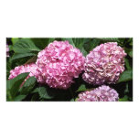 Nantucket Hydrangea Photo Card Template