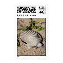Nantucket Scallop Shell postage by AmericanGirl23 Nantucket Scallop Shell postage