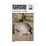Nantucket Scallop Shell postage