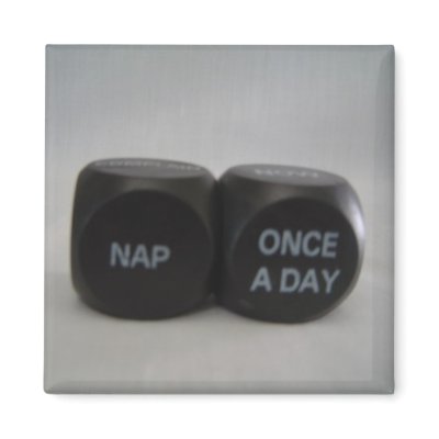 Nap Once A Day Magnet by seashell2
