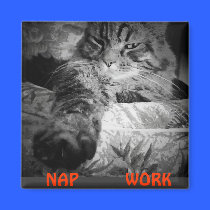 Nap or Work? magnets