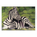 "Nap Time" cards by paintonmypaws "Nap Time" cards