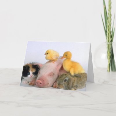 Nap Time for the Animals Card
