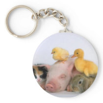Nap Time for the Animals Key Chain