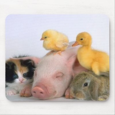 Nap Time for the Animals Mousepad Zazzle_mousepad Nap Time for the Animals Mousepad Zazzle_mousepad