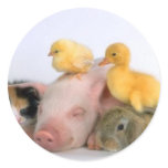 Nap Time for the Animals Sticker
