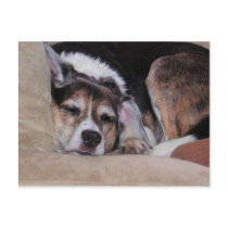 NAP TIME! postcards by Clarence_Jones NAP TIME! postcards