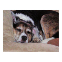 NAP TIME! posters