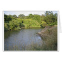 Napa River cards
