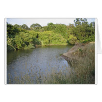Napa River cards by shilohspottydotty Napa River cards