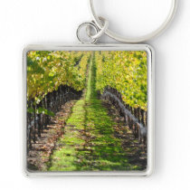 Napa Valley California Grape Vineyard Keychain