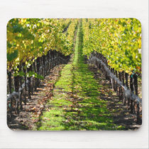 Napa Valley California Grape Vineyard Usepad