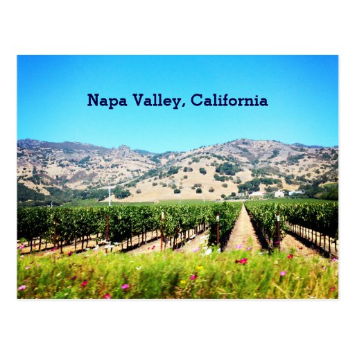 Napa Valley California Postcard Zazzle