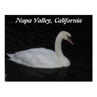 Napa Valley, California Postcard