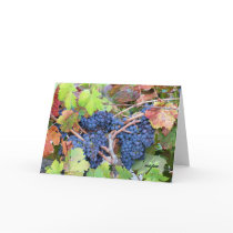 Napa Valley Harvest Greeting Card