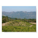 Napa Valley Print starting at $9.95