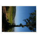 Napa Valley Print starting at $9.95