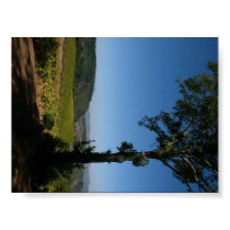 Napa Valley Print starting at $9.95