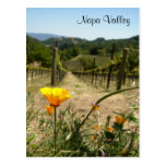 Napa Valley Spring Post Cards