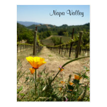 Napa Valley Spring Post Cards