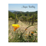 Napa Valley Spring Post Cards