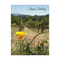 Napa Valley Spring Post Cards