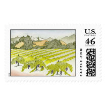 Napa Valley Vineyard postage by kavaler Napa Valley Vineyard postage