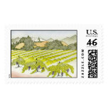 Napa Valley Vineyard postage