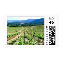 Napa Vineyards postage by LAKETAHOEBILL Napa Vineyards postage