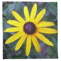 Napkins (Set of 4) - Black-Eyed Susan