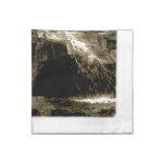 Napkins - Trevi Fountain (sepia)