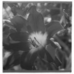 Napkins with a black and white flower scene