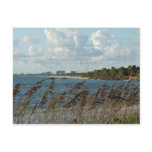 Naples Beach Dunes Postcard