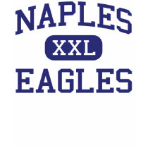 Naples - Eagles - High School - Naples Florida t-shirts by customteamsportswear Naples - Eagles - High School - Naples Florida t-shirts