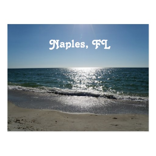 Naples, Florida Postcard Zazzle