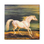 Napoleon's Marengo Refrigerator Magnets