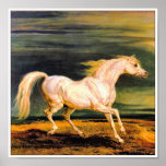 Napoleon's Marengo Print