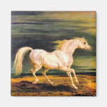 Napoleon's Marengo Refrigerator Magnets
