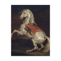 Napoleon's Stallion, Tamerlan Post Cards