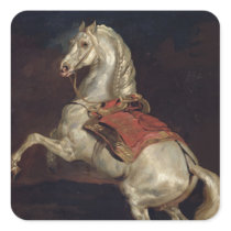 Napoleon's Stallion, Tamerlan Square Sticker
