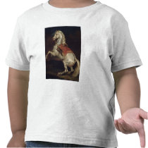 Napoleon's Stallion, Tamerlan Tshirt