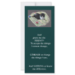 NAPPING CAT: ART: SERENITY PRAYER CUSTOM RACK CARDS