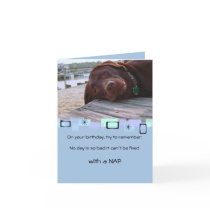 Napping Chocolate Lab All Occasion Greeting Card